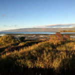 Une maison près du fleuve